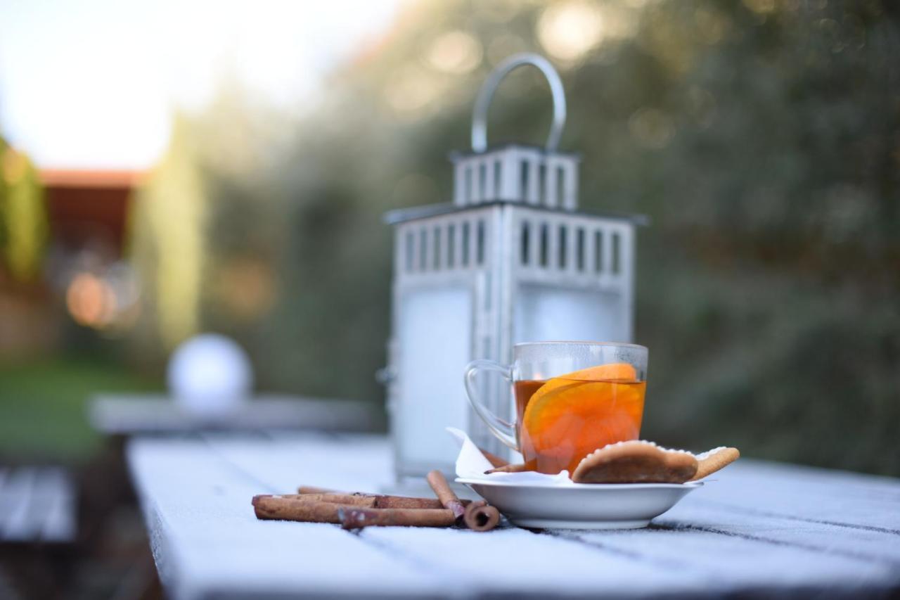 オルドヘユ・セクイエスク Horizont Panzio Bed & Breakfast エクステリア 写真